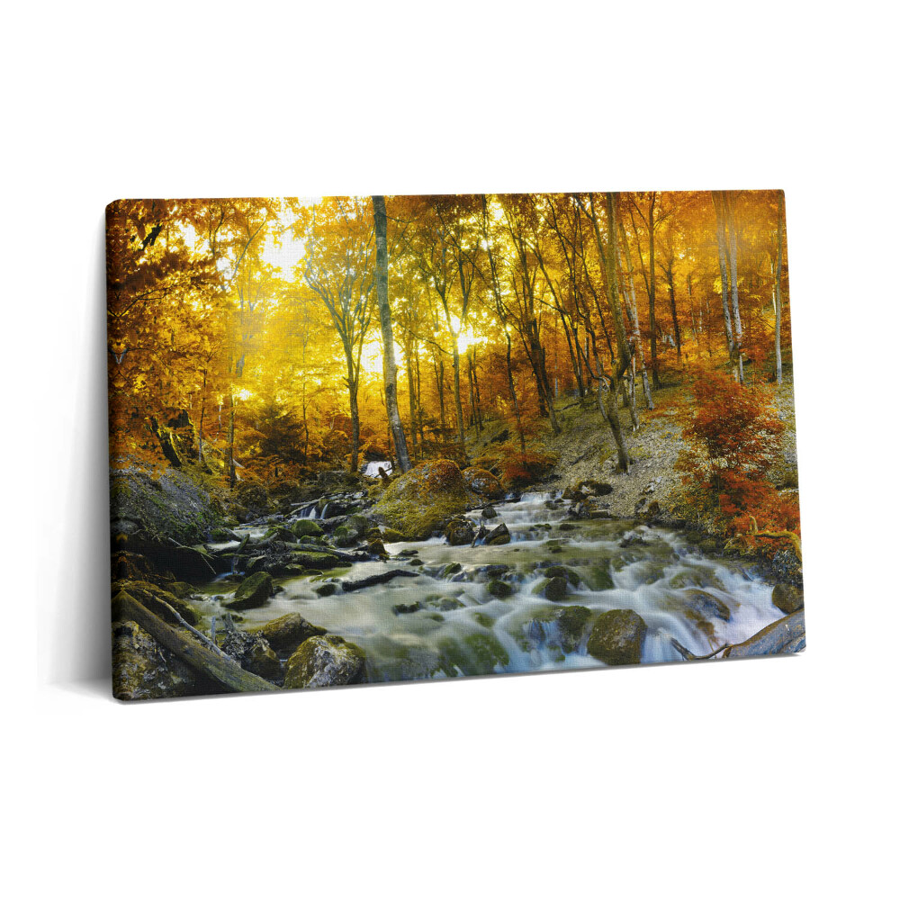 Tablou pe pânză 60x40 pădure de toamnă