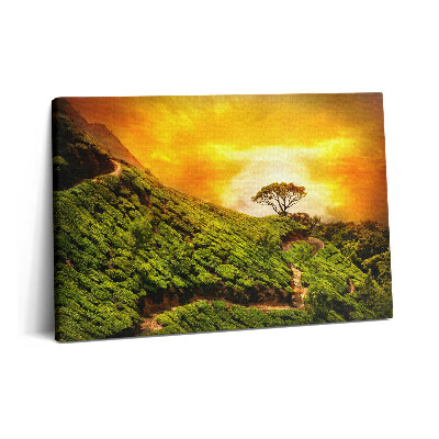 Tablou pe pânză 60x40 Dealul Ceaiului