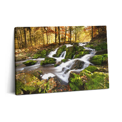 Tablou pe pânză 60x40 Un pârâu în pădurea de toamnă