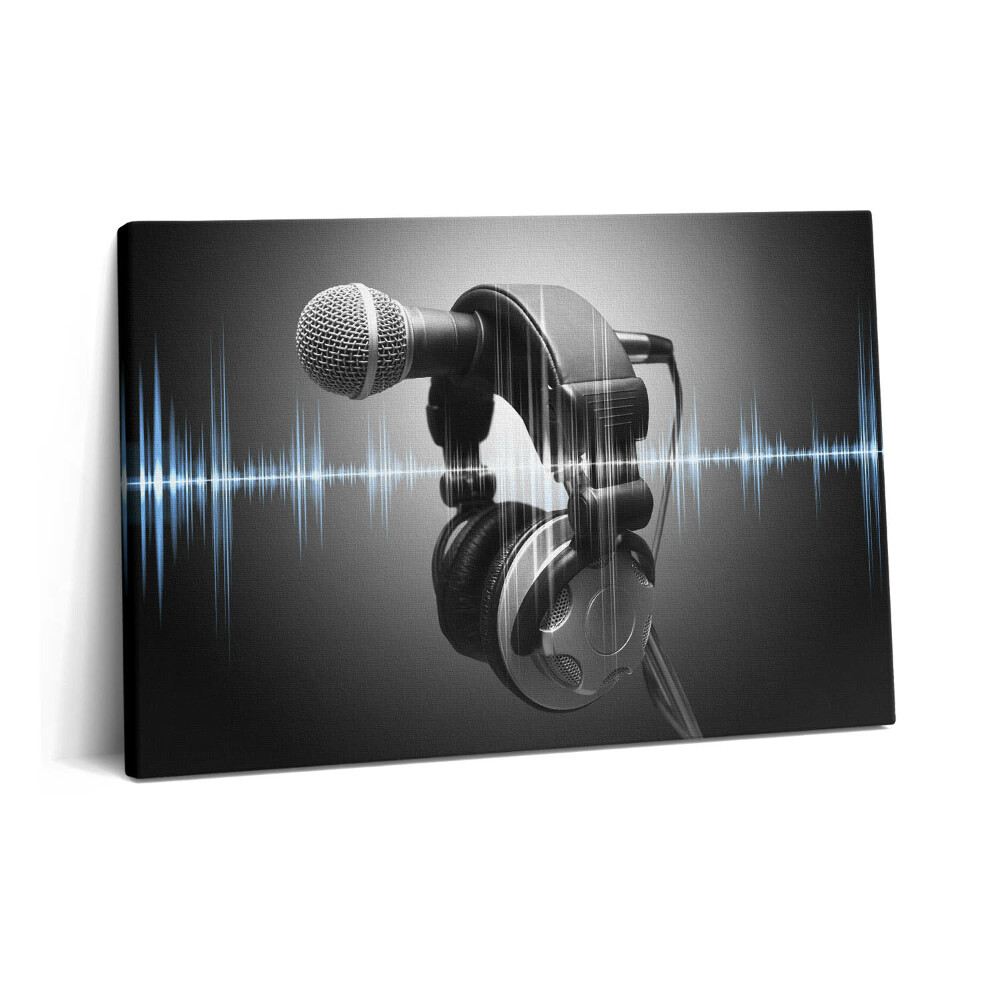 Tablou pe pânză 60x40 Microfon și căști