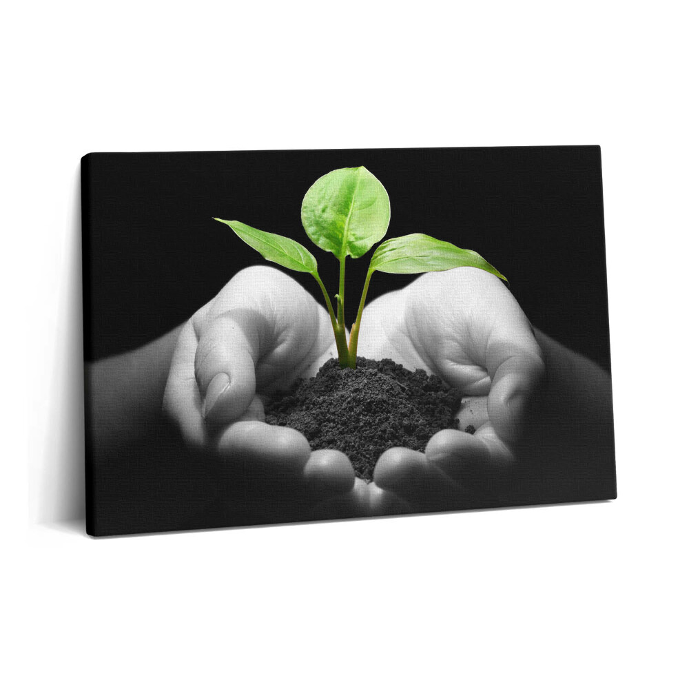 Tablou pe pânză 60x40 Plantă în mâini