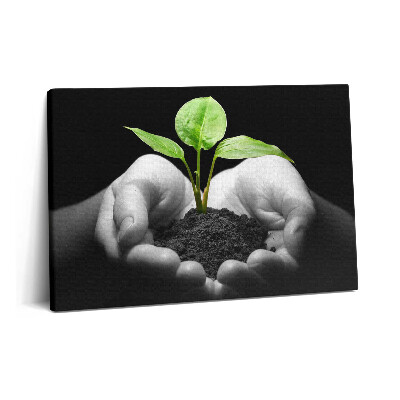 Tablou pe pânză 60x40 Plantă în mâini