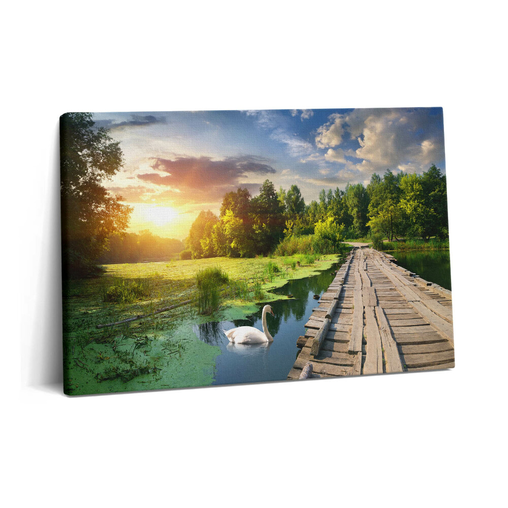 Tablou pe pânză 60x40 Lebădă la apus