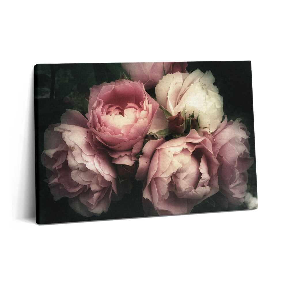 Tablou pe pânză 60x40 un buchet de trandafiri roz vechi