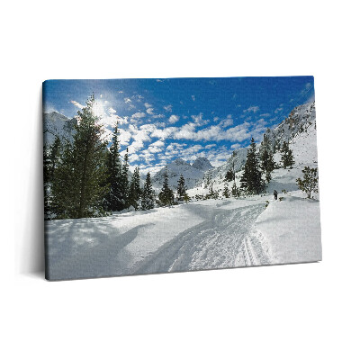 Tablou pe pânză 60x40 Peisaj montan iarna