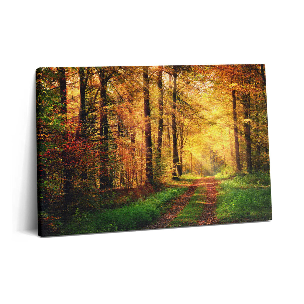 Tablou pe pânză 60x40 Peisaj de pădure de toamnă