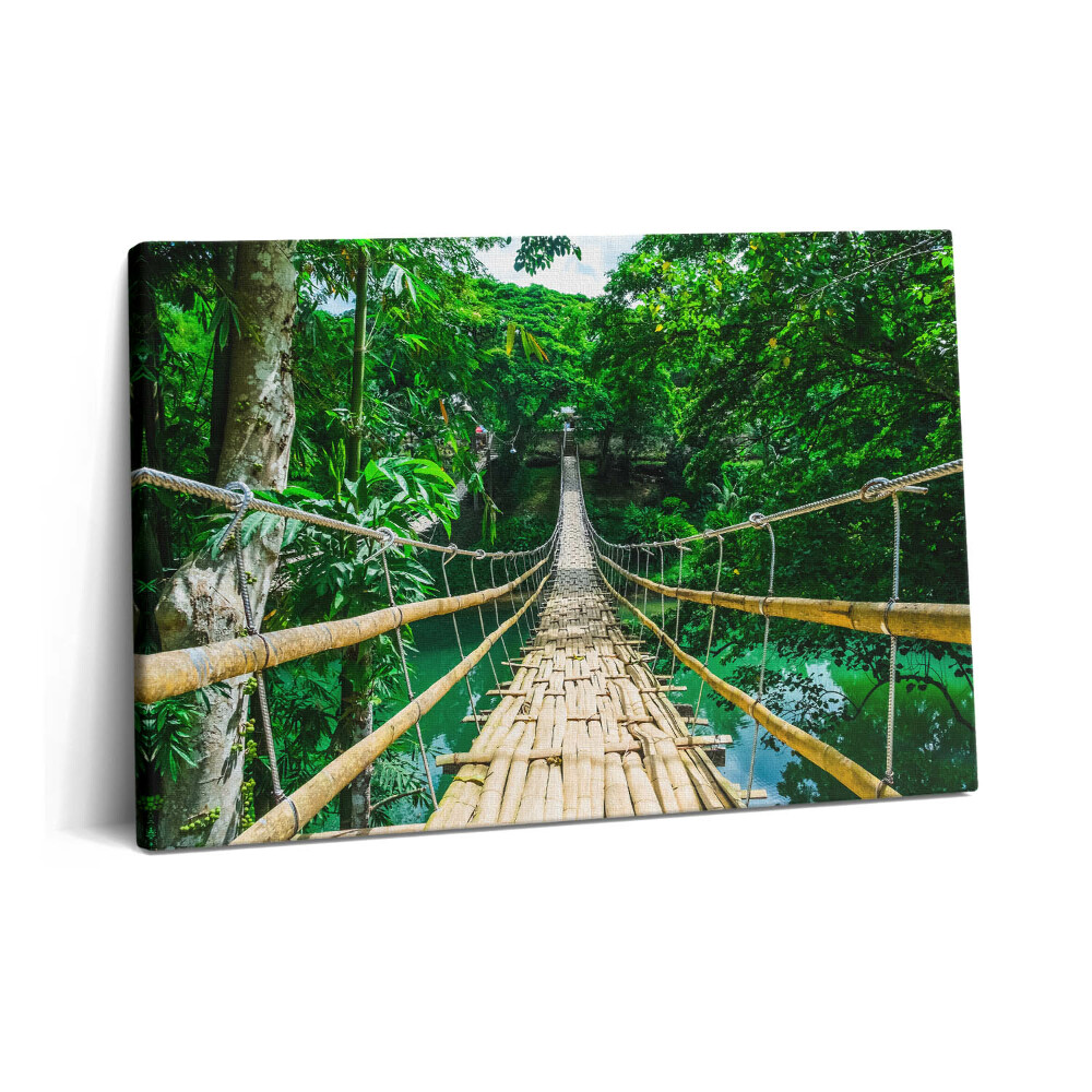 Tablou pe pânză 60x40 Un pod în pădurea din Filipine