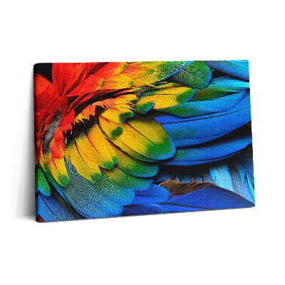 Tablou pe pânză 60x40 Aripi colorate ale unui papagal macaw