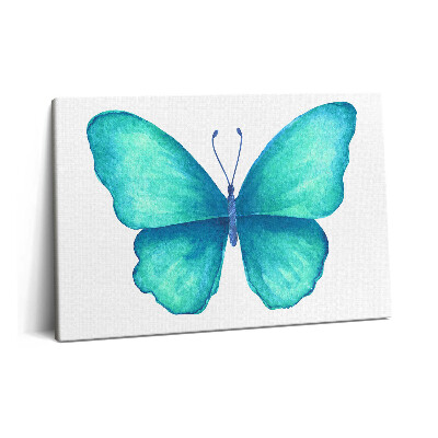 Tablou pe pânză 60x40 Fluture de vară turcoaz