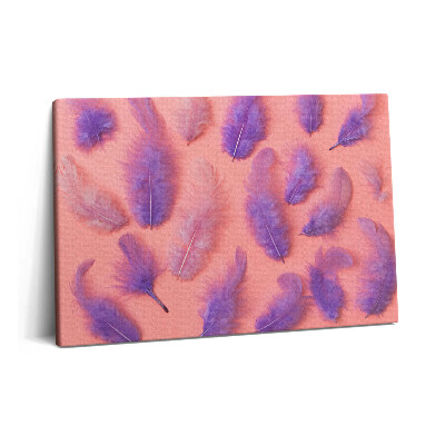 Tablou pe pânză 60x40 Pene colorate