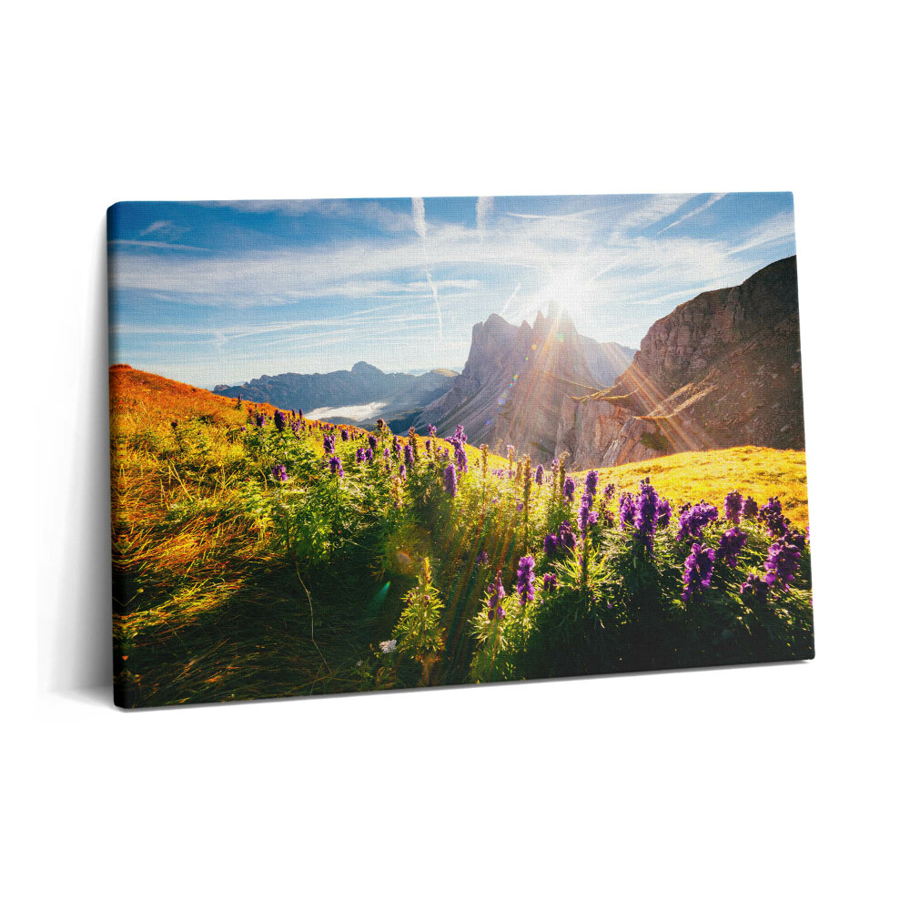 Tablou pe pânză 60x40 Pajiște de lavandă