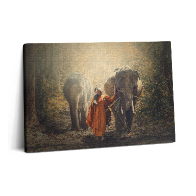 Tablou pe pânză 60x40 Călugăr și elefanți
