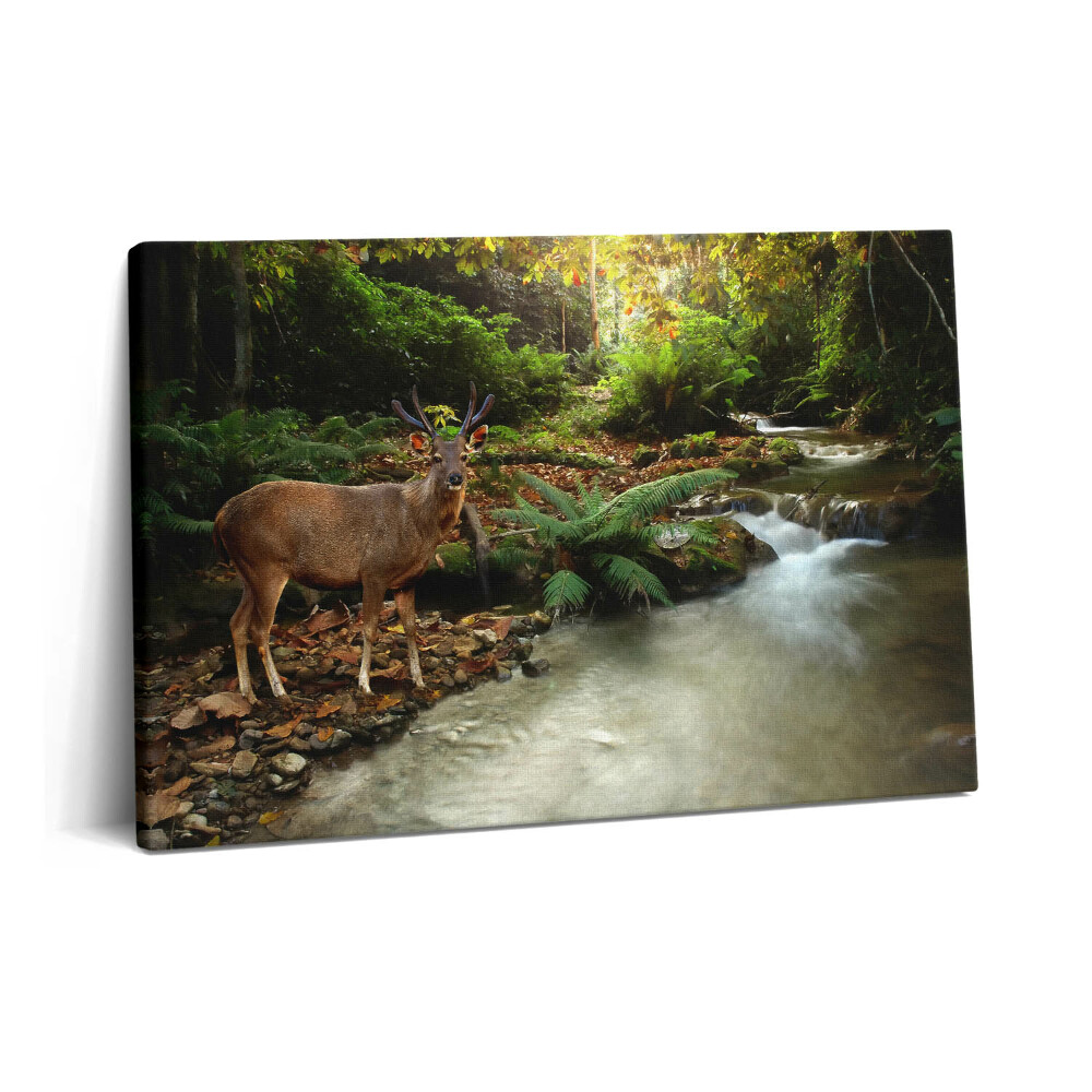 Tablou pe pânză 60x40 Pârâu tropical și cerbi