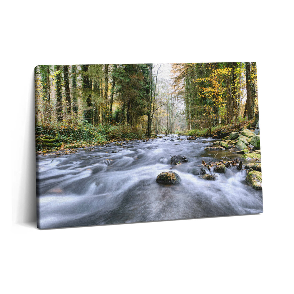 Tablou pe pânză 60x40 Pârâu de munte