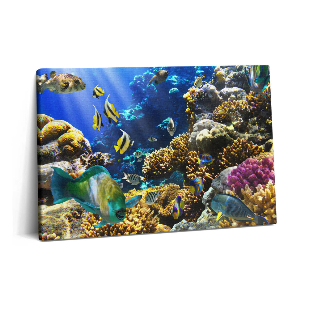 Tablou pe pânză 60x40 Fotografie cu pești pe un recif de corali
