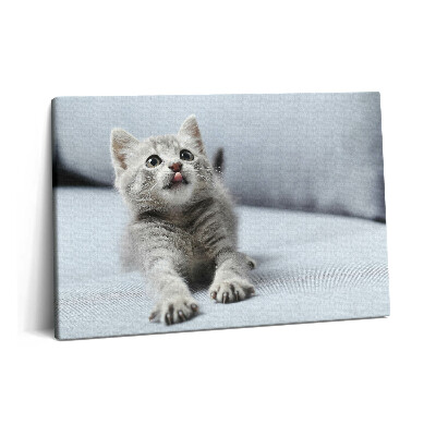 Tablou pe pânză 60x40 Pisicuță drăguță pe canapea