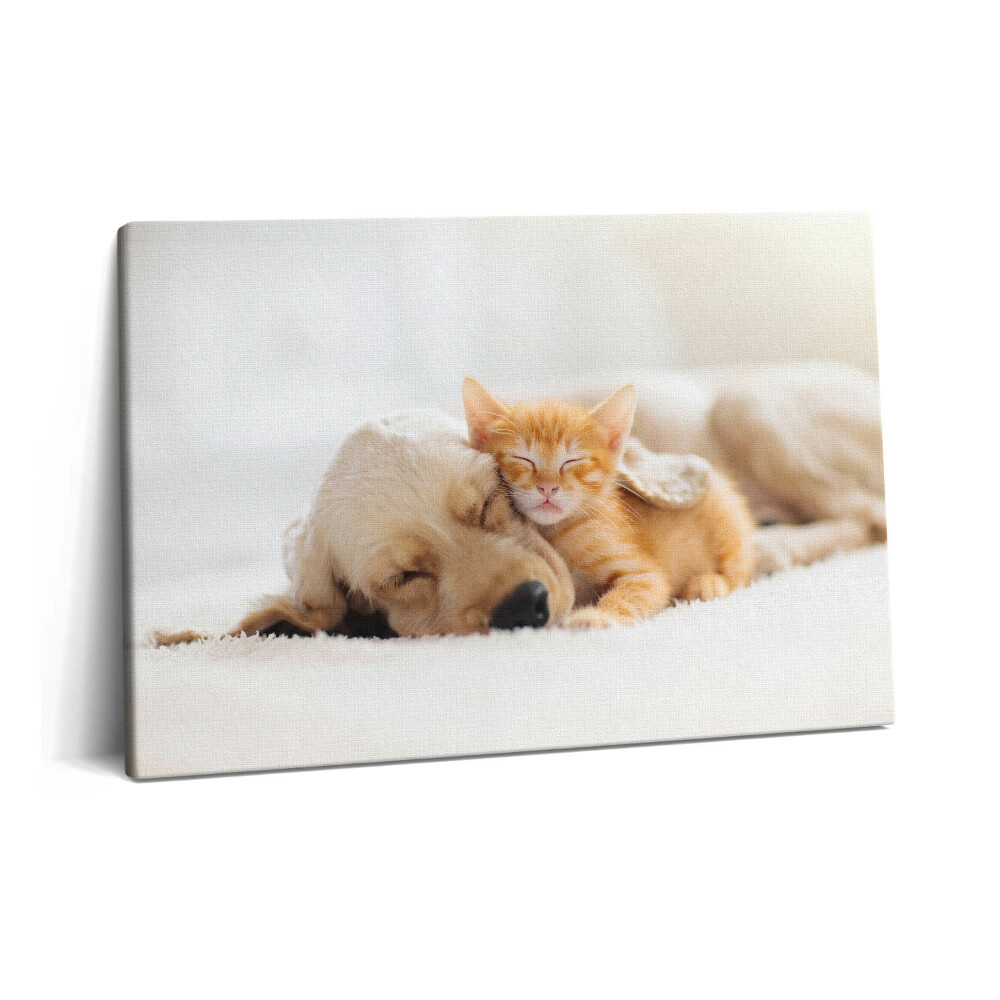 Tablou pe pânză 60x40 Animale care dorm, pisică și câine