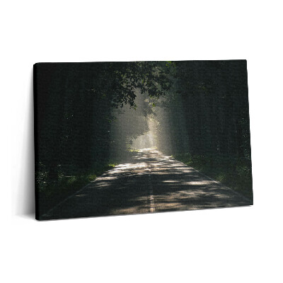 Tablou pe pânză 60x40 Drum forestier și fâșii de soare