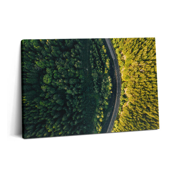 Tablou pe pânză 60x40 Pădurea dintr-o dronă - Muntele Śnieżka