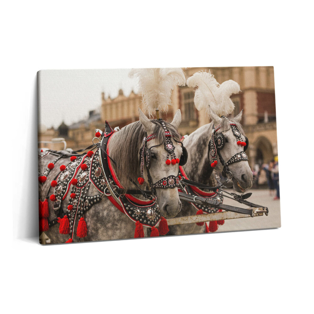 Tablou pe pânză 60x40 Cai frumoși în Cracovia