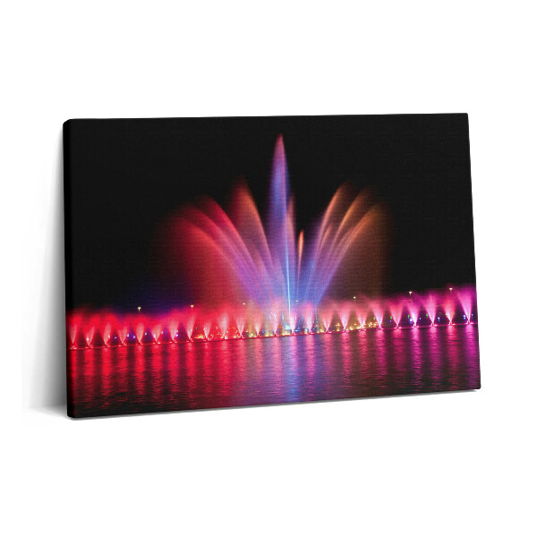 Tablou pe pânză 60x40 Fântâna din Wroclaw noaptea