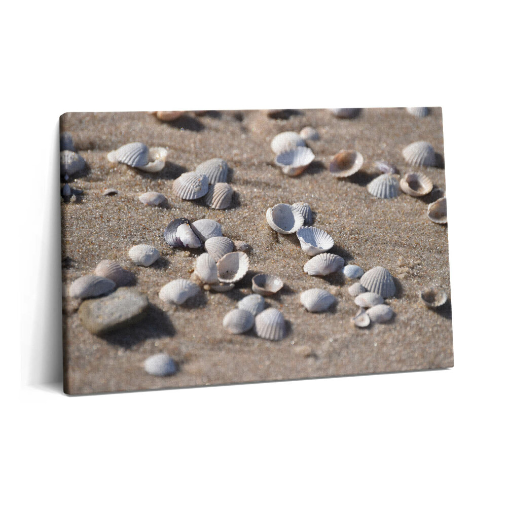 Tablou pe pânză 60x40 Scoici pe plajă