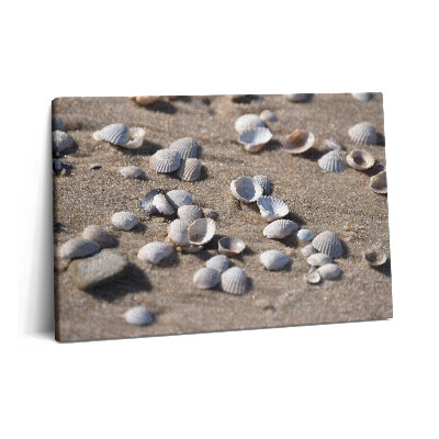Tablou pe pânză 60x40 Scoici pe plajă