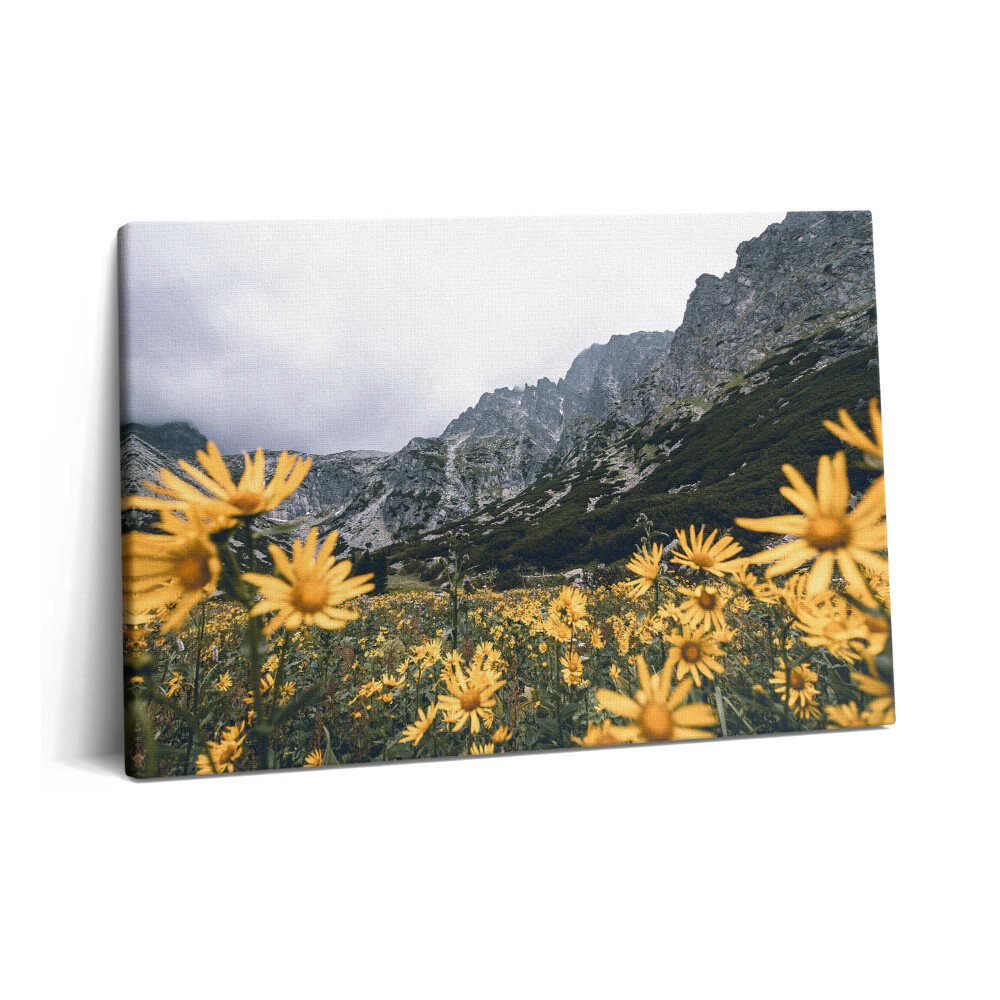 Tablou pe pânză 60x40 Pajiște cu flori din Munții Tatra