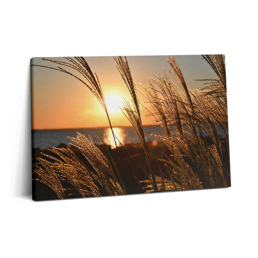 Tablou pe pânză 60x40 Grâul în ora de aur