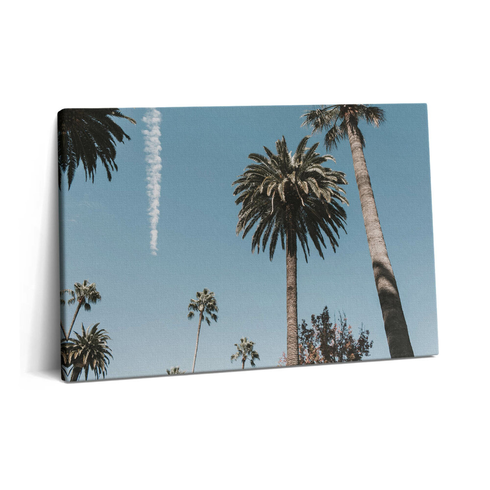 Tablou pe pânză 60x40 Palmieri în Los Angeles