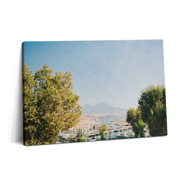 Tablou pe pânză 60x40 Copaci verzi în Napoli