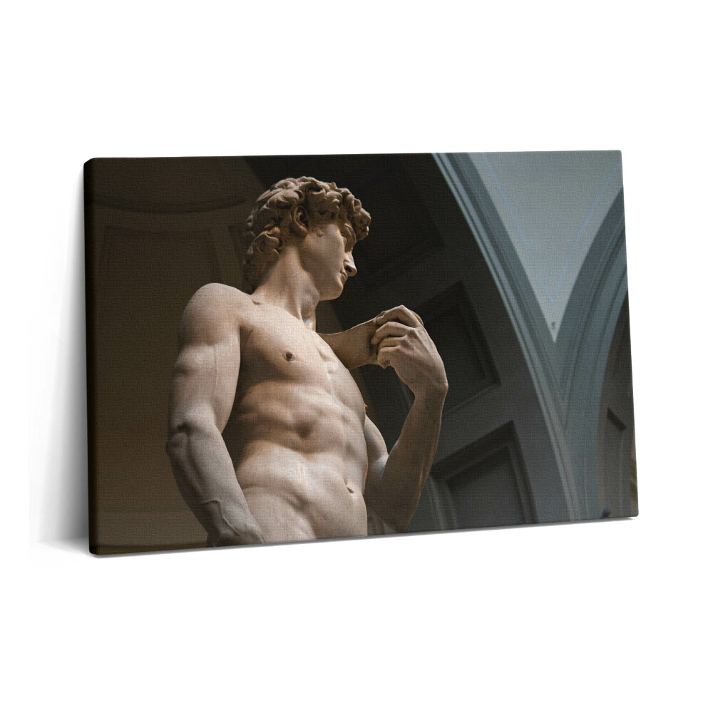 Tablou pe pânză 60x40 Sculptura lui David - Michelangelo