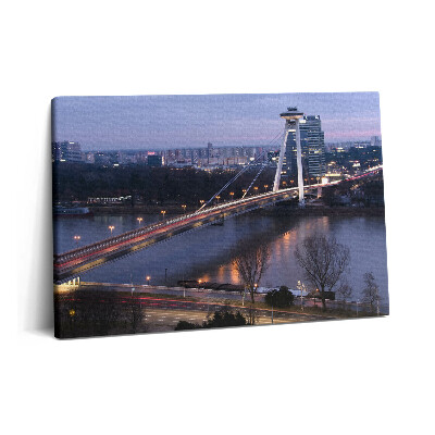 Tablou pe pânză 60x40 Podul OZN peste Dunăre din Bratislava
