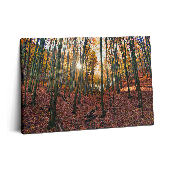 Tablou pe pânză 60x40 Apus de soare și copaci