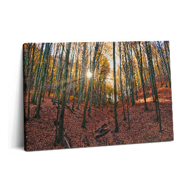 Tablou pe pânză 60x40 Apus de soare și copaci