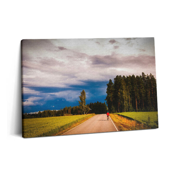 Tablou pe pânză 60x40 O pistă de biciclete bine întreținută