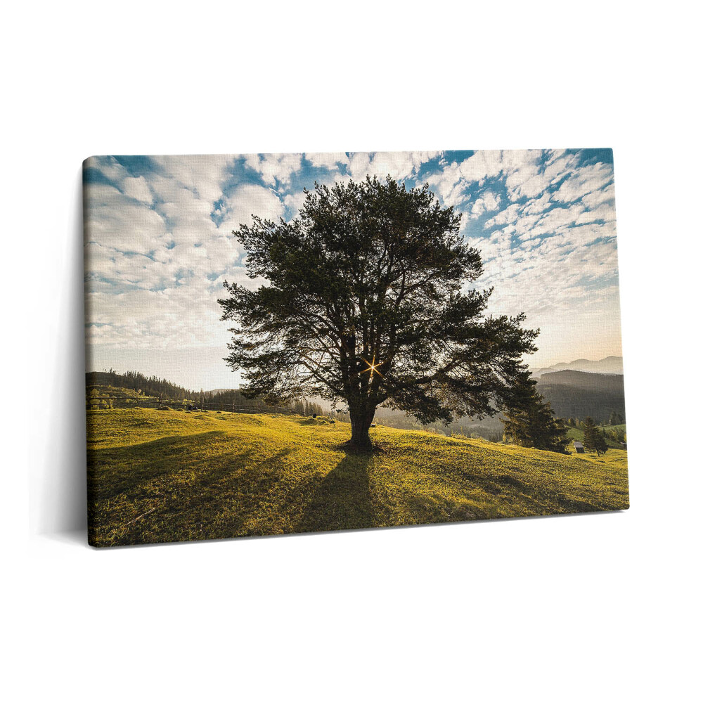 Tablou pe pânză 60x40 Un copac cu frunze pe un deal