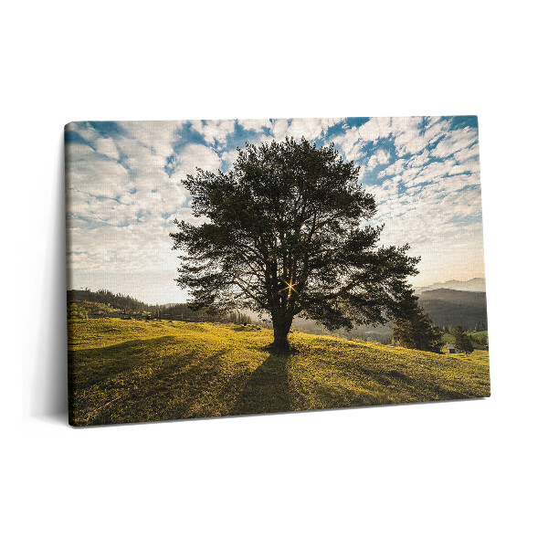 Tablou pe pânză 60x40 Un copac cu frunze pe un deal