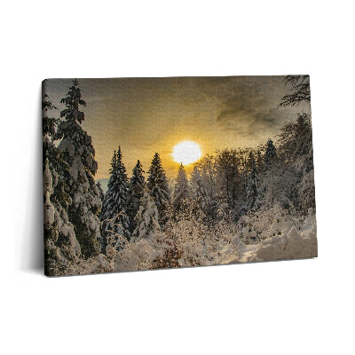 Tablou pe pânză 60x40 Peisaj de iarnă al Munților Beskid