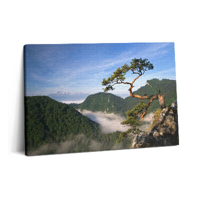 Tablou pe pânză 60x40 Vârful Sokolica din Munții Pieniny