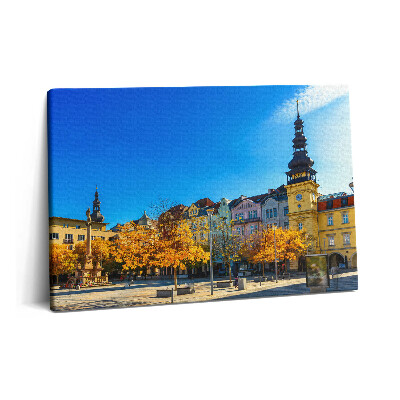 Tablou pe pânză 60x40 Piața Masaryk și Primăria Veche