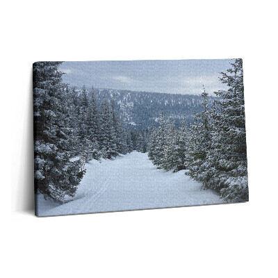 Tablou pe pânză 60x40 Munții Giganți Cehi în timpul iernii