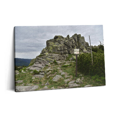 Tablou pe pânză 60x40 Traseu în Munții Karkonosze