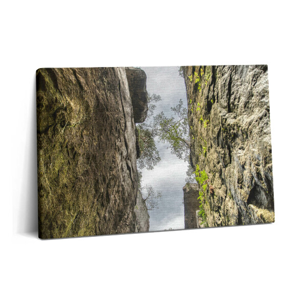 Tablou pe pânză 60x40 Orașul rock din Republica Cehă