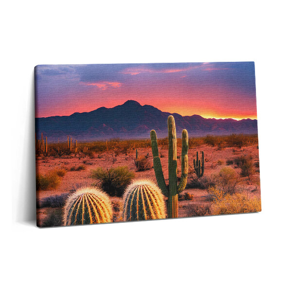 Tablou pe pânză 60x40 Apus de soare în deșert