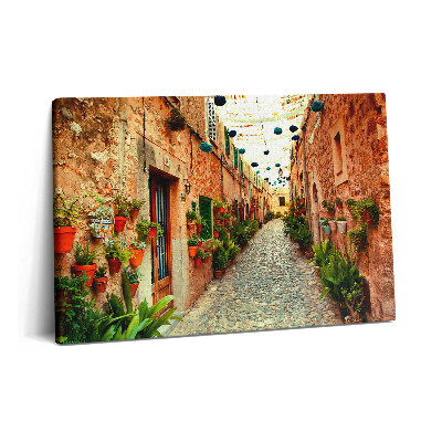 Tablou pe pânză 60x40 O stradă din satul Valldemossa