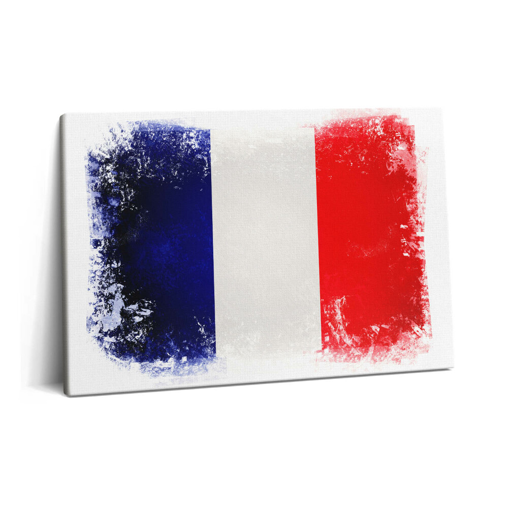 Tablou pe pânză 60x40 Drapelul francez