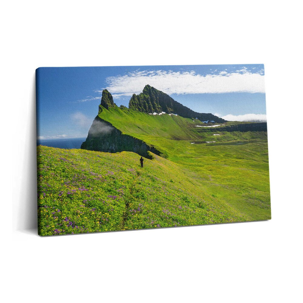 Tablou pe pânză 60x40 Rezervația Hornstrandir din Islanda