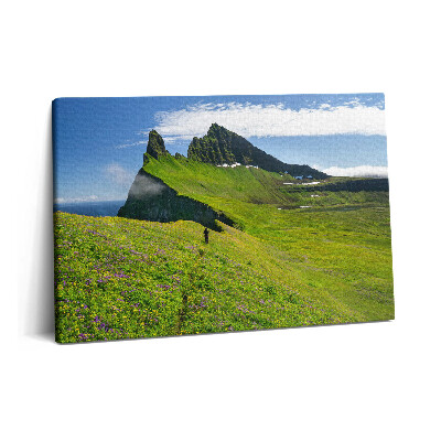 Tablou pe pânză 60x40 Rezervația Hornstrandir din Islanda