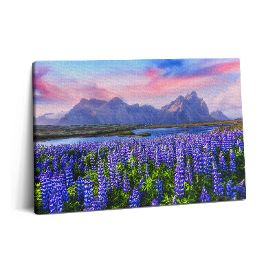 Tablou pe pânză 60x40 Câmpuri de lavandă - Islanda